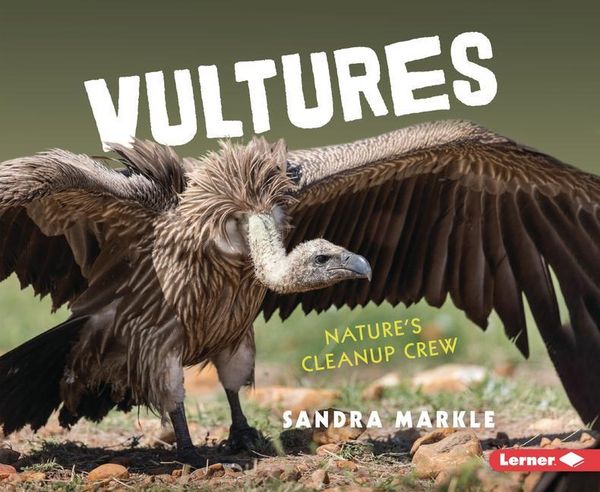 Produktbild: Vultures