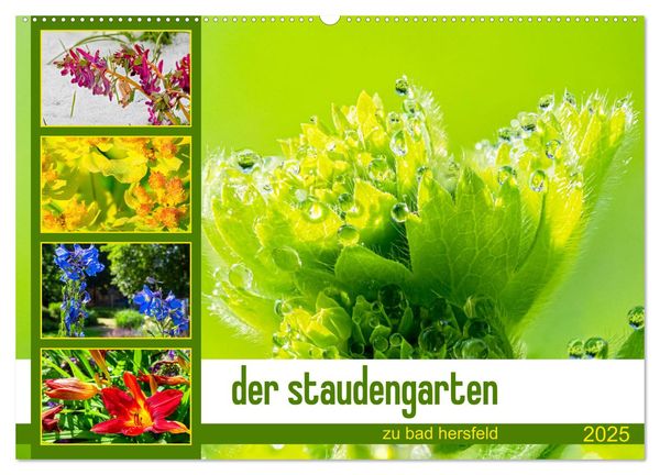 Der staudengarten zu bad hersfeld (Wandkalender 2025 DIN A2 quer), CALVENDO Monatskalender