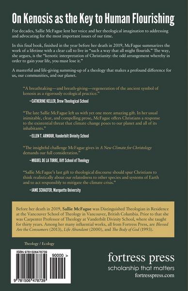 Produktbild: A New Climate for Christology