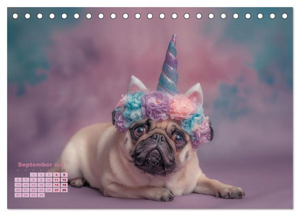 Produktbild: Der wahrscheinlich frechste Mops-Serie der Welt (Tischkalender 2027 DIN A5 quer), CALVENDO Monatskalender