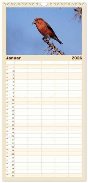 Produktbild: Familienplaner 2026 - V&ouml;gel ganz nah mit 5 Spalten (Wandkalender, 21 x 45 cm) CALVENDO
