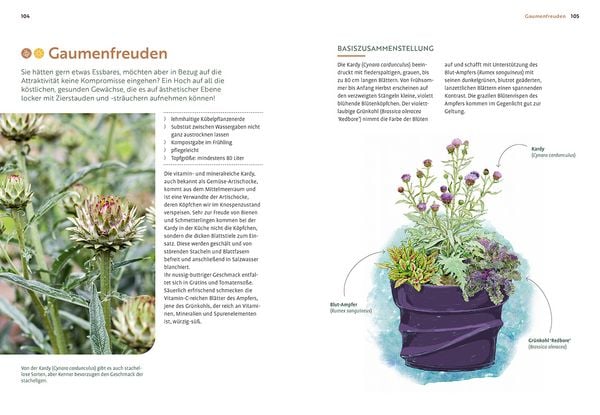Produktbild: Mein Garten w&auml;chst im Topf