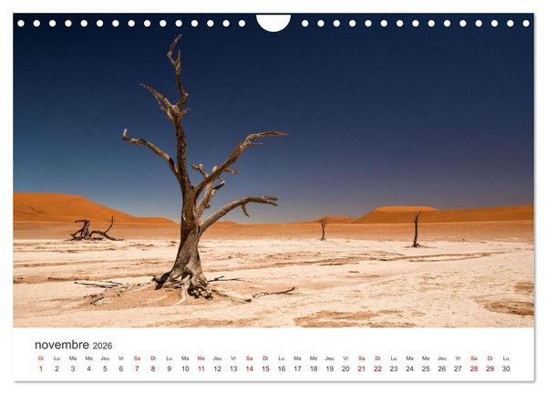 Produktbild: Des&eacute;rt namibien (Calendrier mural 2026 DIN A4 vertical), CALVENDO calendrier mensuel