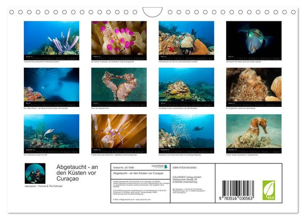 Produktbild: Abgetaucht - an den K&uuml;sten vor Cura&ccedil;ao (Wandkalender 2026 DIN A4 quer), CALVENDO Monatskalender
