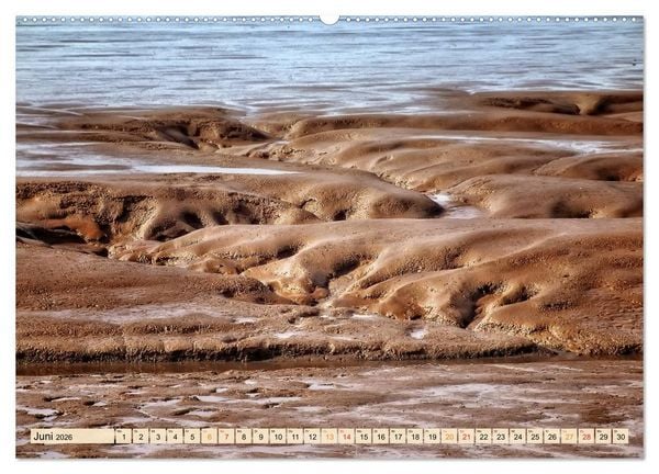 Produktbild: Friesland - Watt und Nordsee (Wandkalender 2026 DIN A2 quer), CALVENDO Monatskalender
