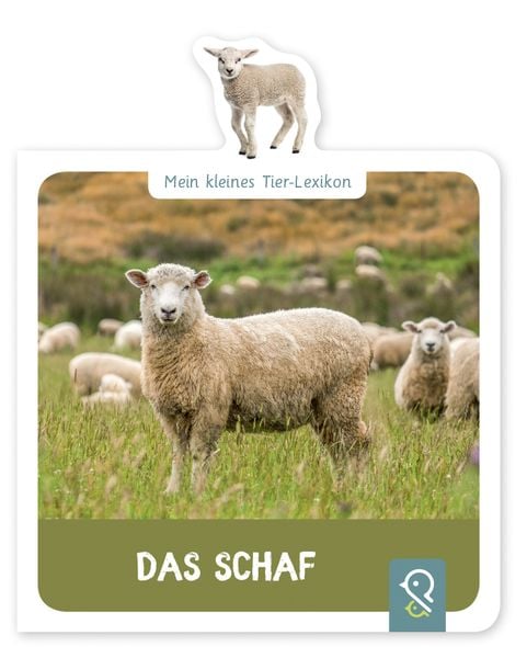 Produktbild: Das Schaf