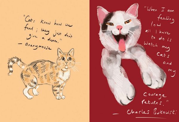 Produktbild: Puss in Books