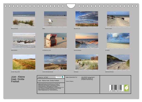 Produktbild: Juist - Kleine Insel, Gro&szlig;e Freiheit (Wandkalender 2026 DIN A4 quer), CALVENDO Monatskalender