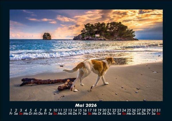 Produktbild: Urlaubsgef&uuml;hle 2026 Fotokalender DIN A5