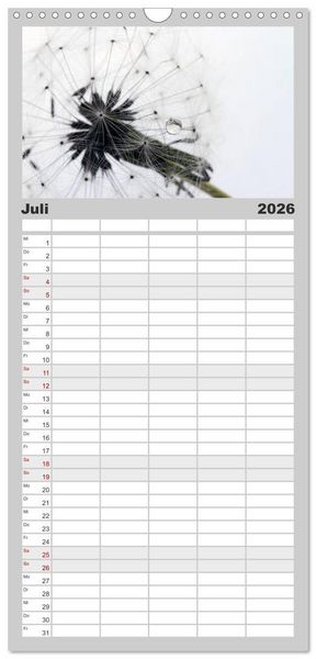 Produktbild: Familienplaner 2026 - Filigrane Pusteblumen / Geburtstagskalender mit 5 Spalten (Wandkalender, 21 x 45 cm) CALVENDO