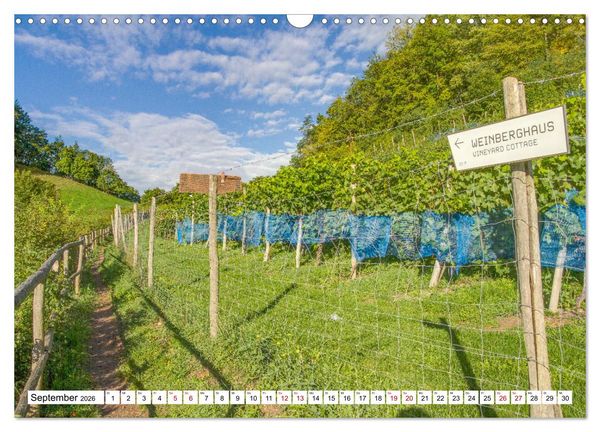 Produktbild: Weinberge um Jena (Wandkalender 2026 DIN A3 quer), CALVENDO Monatskalender