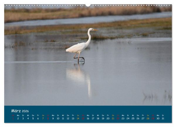 Produktbild: Naturschutzgebiet W&uuml;mme (Wandkalender 2026 DIN A2 quer), CALVENDO Monatskalender