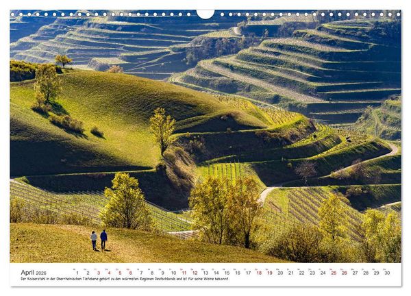 Produktbild: Sehenswertes Baden-W&uuml;rttemberg (Wandkalender 2026 DIN A3 quer), CALVENDO Monatskalender