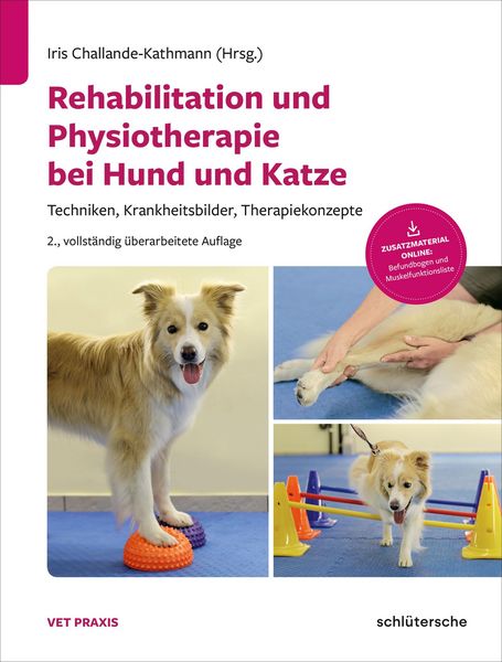 Produktbild: Rehabilitation und Physiotherapie bei Hund und Katze