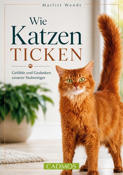 Produktbild: Wie Katzen ticken