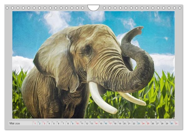 Produktbild: Elefanten - Portraits der besonderen Art (Wandkalender 2026 DIN A4 quer), CALVENDO Monatskalender