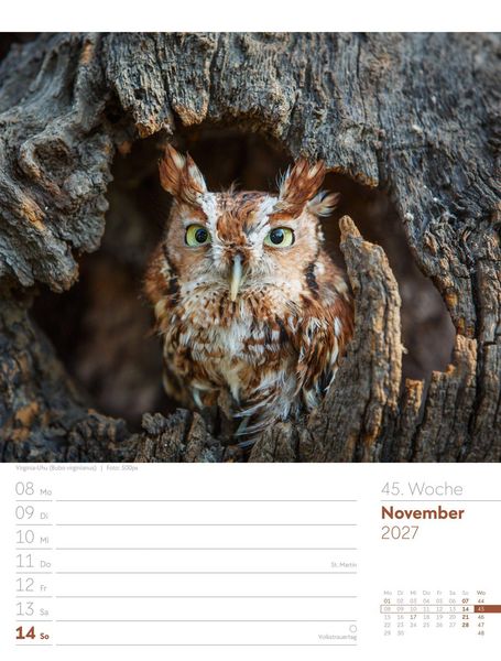 Produktbild: V&ouml;gel Wochenplaner Kalender 2027