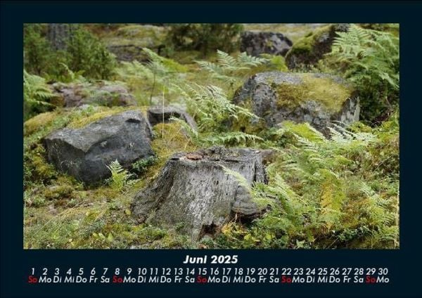 Produktbild: Bilder der Natur 2025 Fotokalender DIN A5