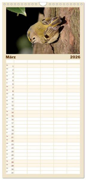 Produktbild: Familienplaner 2026 - V&ouml;gel ganz nah mit 5 Spalten (Wandkalender, 21 x 45 cm) CALVENDO