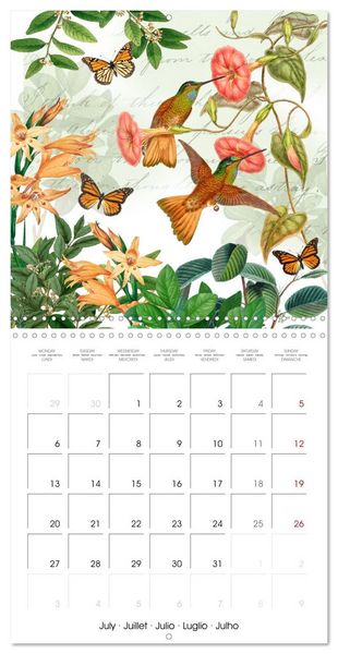 Produktbild: Lovely hummingbirds (Wall Calendar 2026 12 &times; 12 Inch) CALVENDO 12 Month Wall Calendar