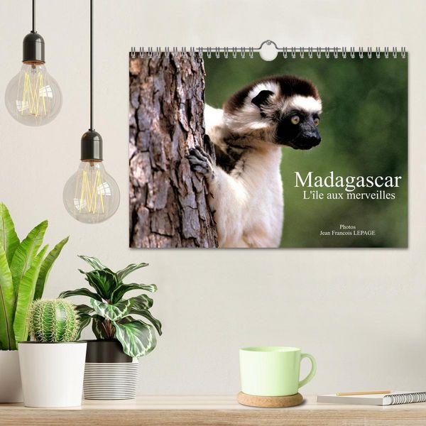 Produktbild: Madagascar L'&icirc;le aux merveilles (Calendrier mural 2026 DIN A4 vertical), CALVENDO calendrier mensuel