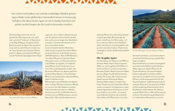 Produktbild: Tequila