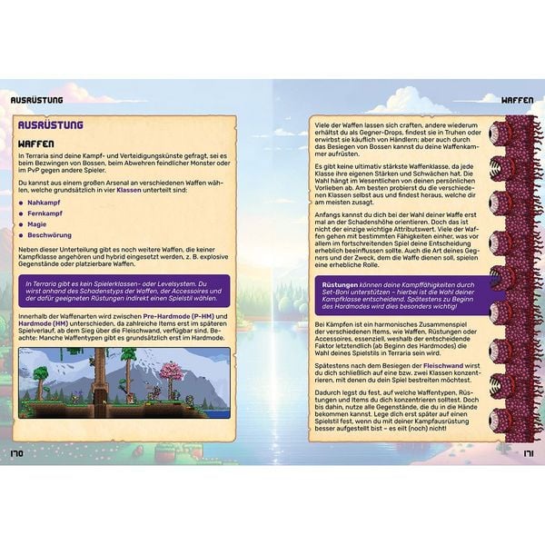 Produktbild: Terraria - Der gro&szlig;e inoffizielle Guide