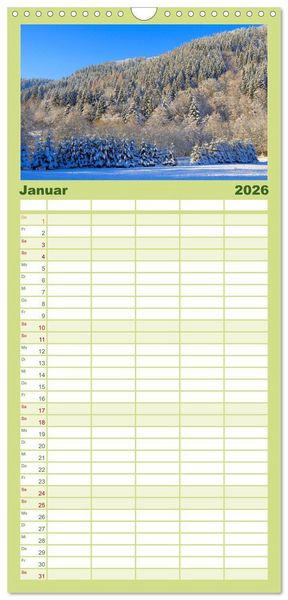 Produktbild: Familienplaner 2026 - Wald und Baum 2026 mit 5 Spalten (Wandkalender, 21 x 45 cm) CALVENDO