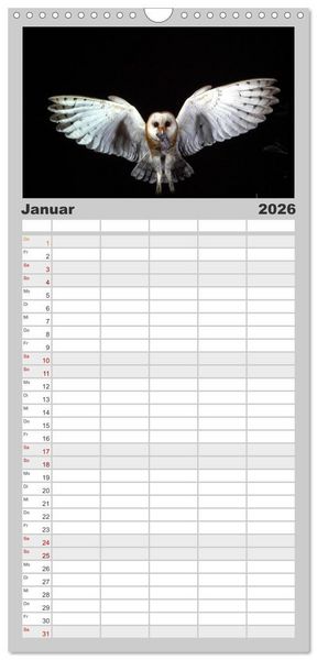 Produktbild: Familienplaner 2026 - V&ouml;gel, Gefiederte Sch&ouml;nheiten mit 5 Spalten (Wandkalender, 21 x 45 cm) CALVENDO