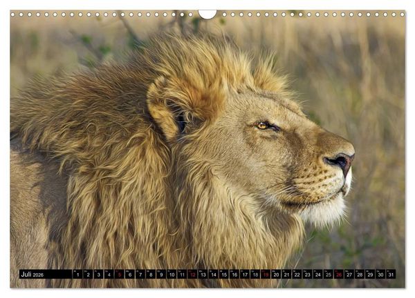 Produktbild: Wildes Leben in Afrika (Wandkalender 2026 DIN A3 quer), CALVENDO Monatskalender