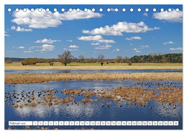 Produktbild: Wildes Wendland (Tischkalender 2026 DIN A5 quer), CALVENDO Monatskalender