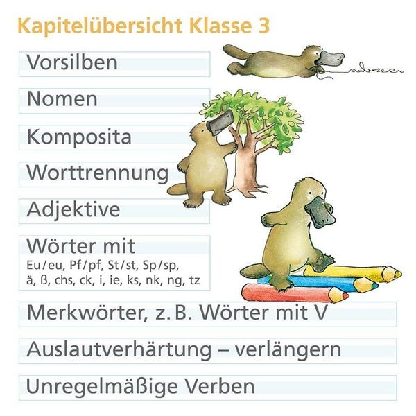 Produktbild: Rechtschreiben mit Rico Schnabel, Klasse 3