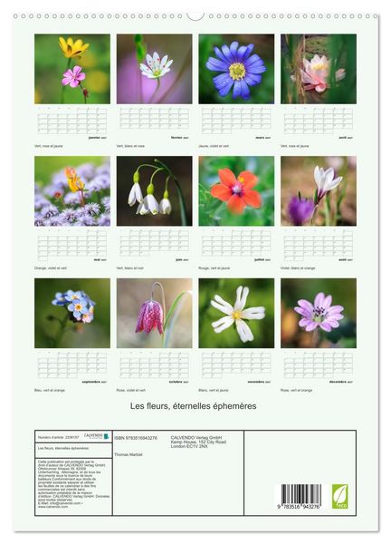 Produktbild: Les fleurs, &eacute;ternelles &eacute;phem&egrave;res (Calendrier mural haut de gamme 2027 DIN A2 horizontal), CALVENDO calendrier mensuel