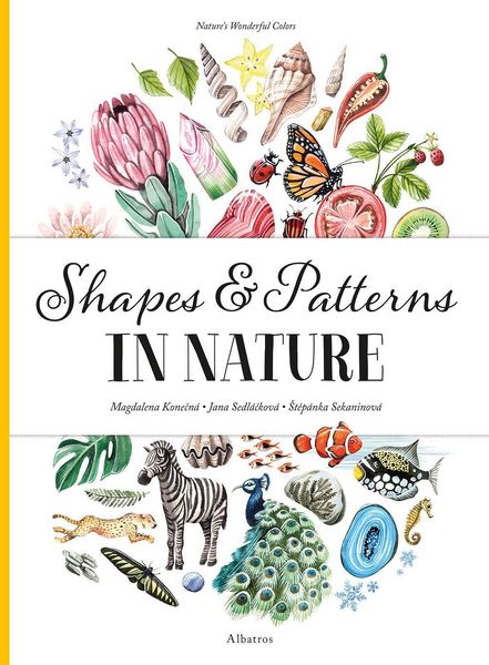 Produktbild: Shapes and Patterns in Nature