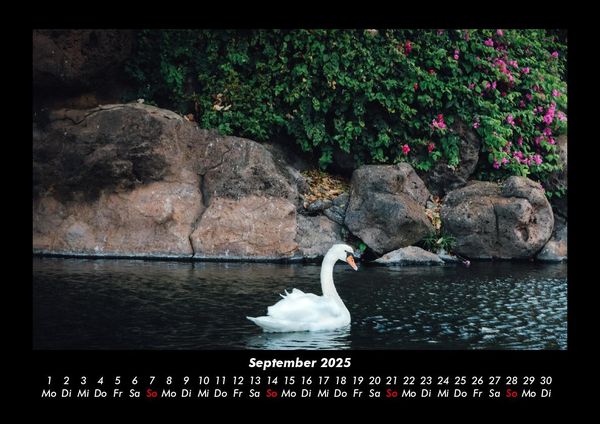 Produktbild: Die Seen der Erde 2025 Fotokalender DIN A3