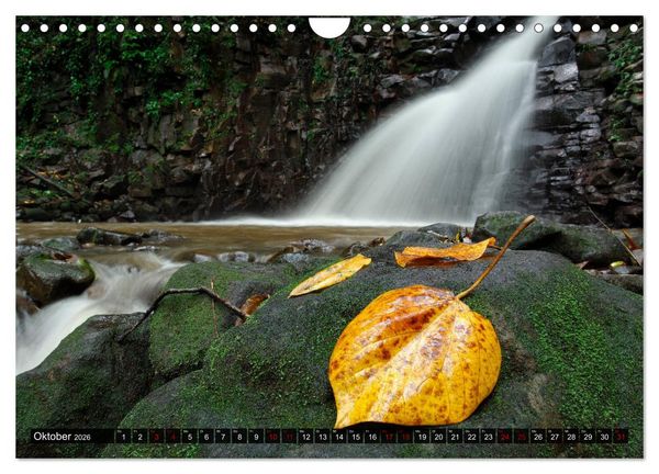 Produktbild: Inselwelt Karibik (Wandkalender 2026 DIN A4 quer), CALVENDO Monatskalender
