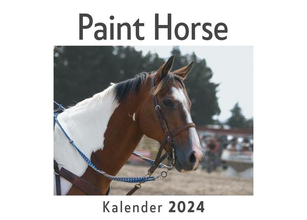 Produktbild: Paint Horse (Wandkalender 2024, Kalender DIN A4 quer, Monatskalender im Querformat mit Kalendarium, Das perfekte Geschenk)