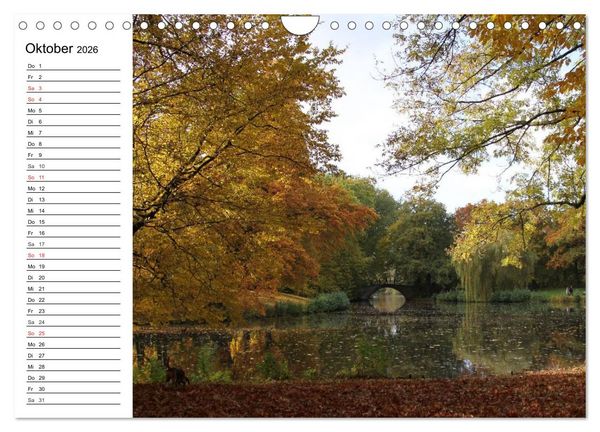Produktbild: Hannover erleben (Wandkalender 2026 DIN A4 quer), CALVENDO Monatskalender