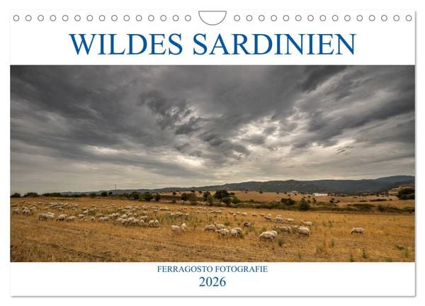 Produktbild: Wildes Sardinien 2026 (Wandkalender 2026 DIN A4 quer), CALVENDO Monatskalender