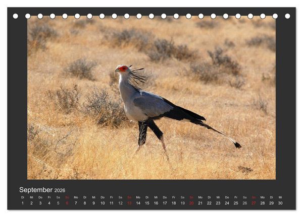 Produktbild: Facetten Namibias (Tischkalender 2026 DIN A5 quer), CALVENDO Monatskalender