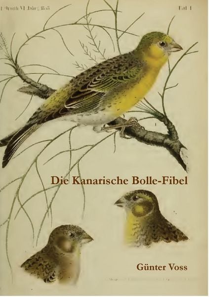 Produktbild: Die Kanarische Bolle-Fibel