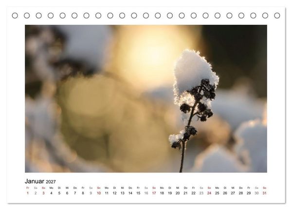 Produktbild: Zauber verg&auml;nglicher Bl&uuml;ten (Tischkalender 2027 DIN A5 quer), CALVENDO Monatskalender