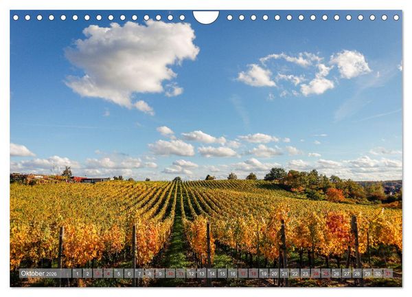 Produktbild: Werder - ein Kleinod an der Havel (Wandkalender 2026 DIN A4 quer), CALVENDO Monatskalender