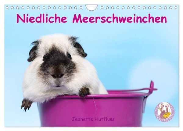 Niedliche Meerschweinchen (Wandkalender 2025 DIN A4 quer), CALVENDO Monatskalender