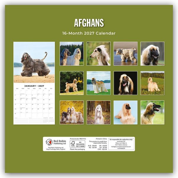 Produktbild: Afghans &ndash; Afghanischer Windhund 2027 &ndash; 16-Monatskalender