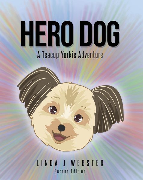 Produktbild: Hero Dog