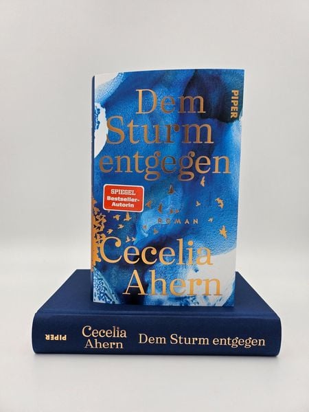 Produktbild: Dem Sturm entgegen