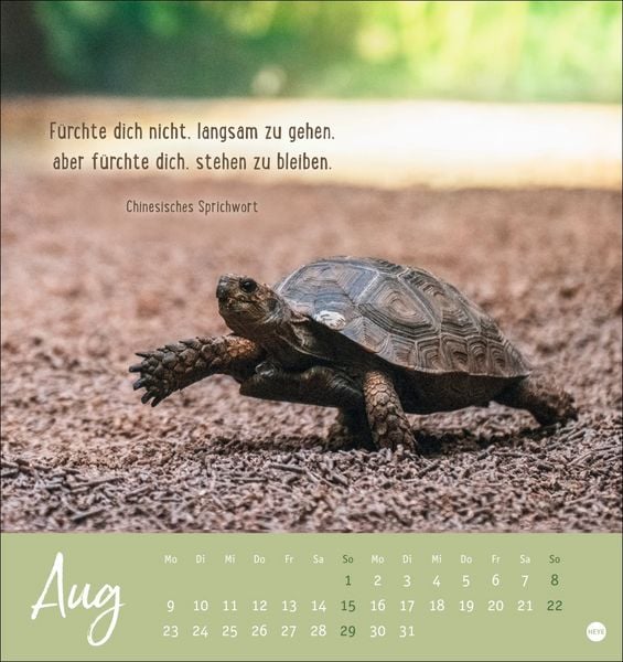 Produktbild: Never give up! Postkartenkalender 2027 - Durchhalten. Denn alles wird gut.