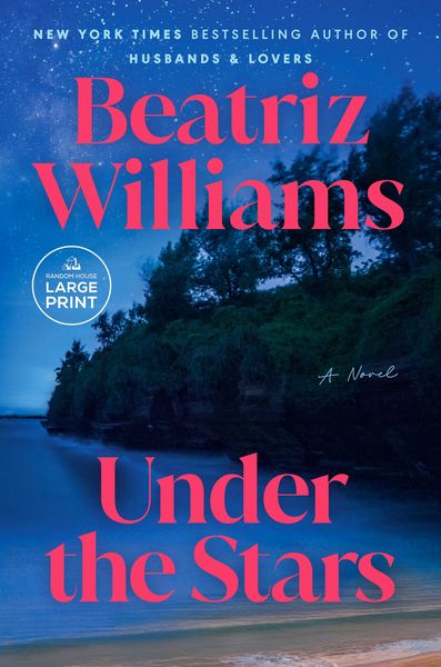 Produktbild: Under the Stars