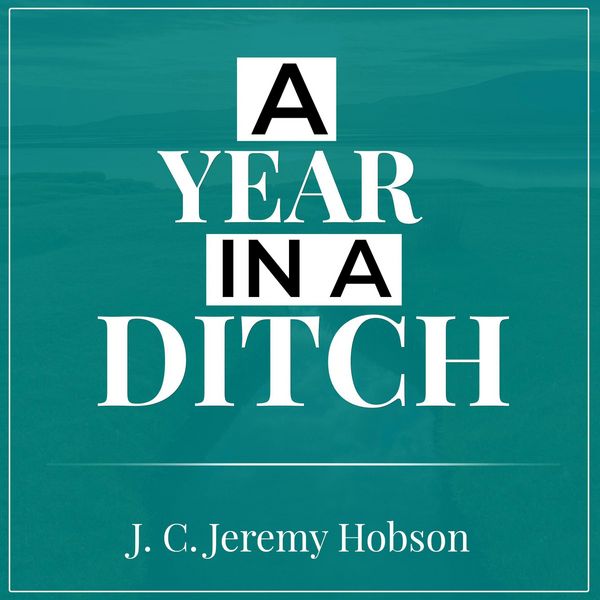 Produktbild: A Year In A Ditch